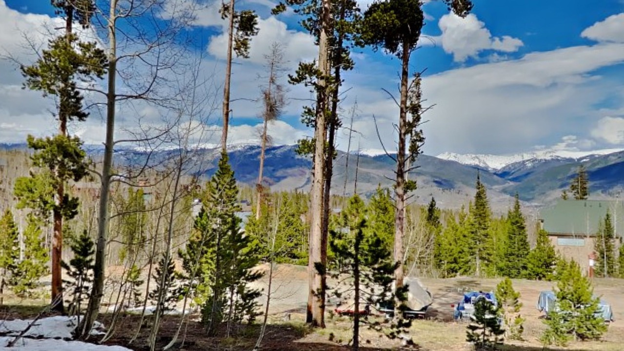 Photo of Outdoor in Wildernest