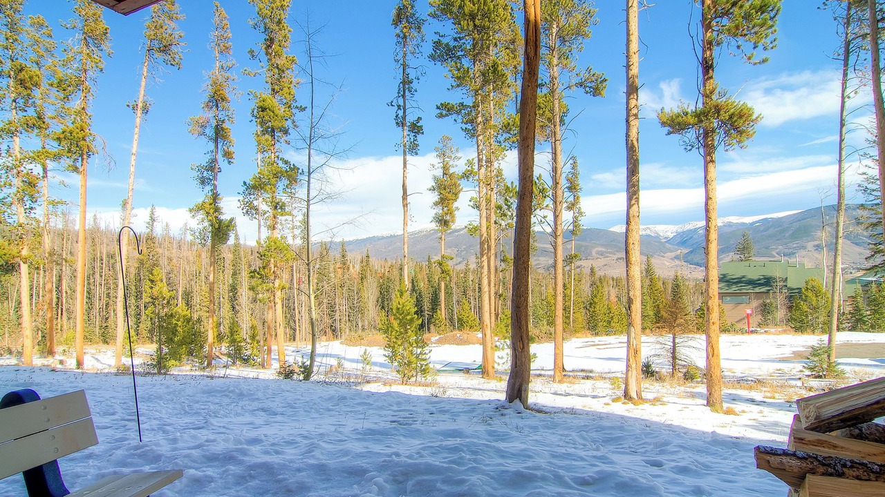 Photo of Outdoor in Wildernest