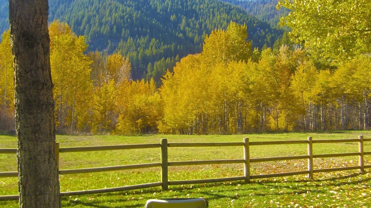 Photo of Outdoor in Ketchum