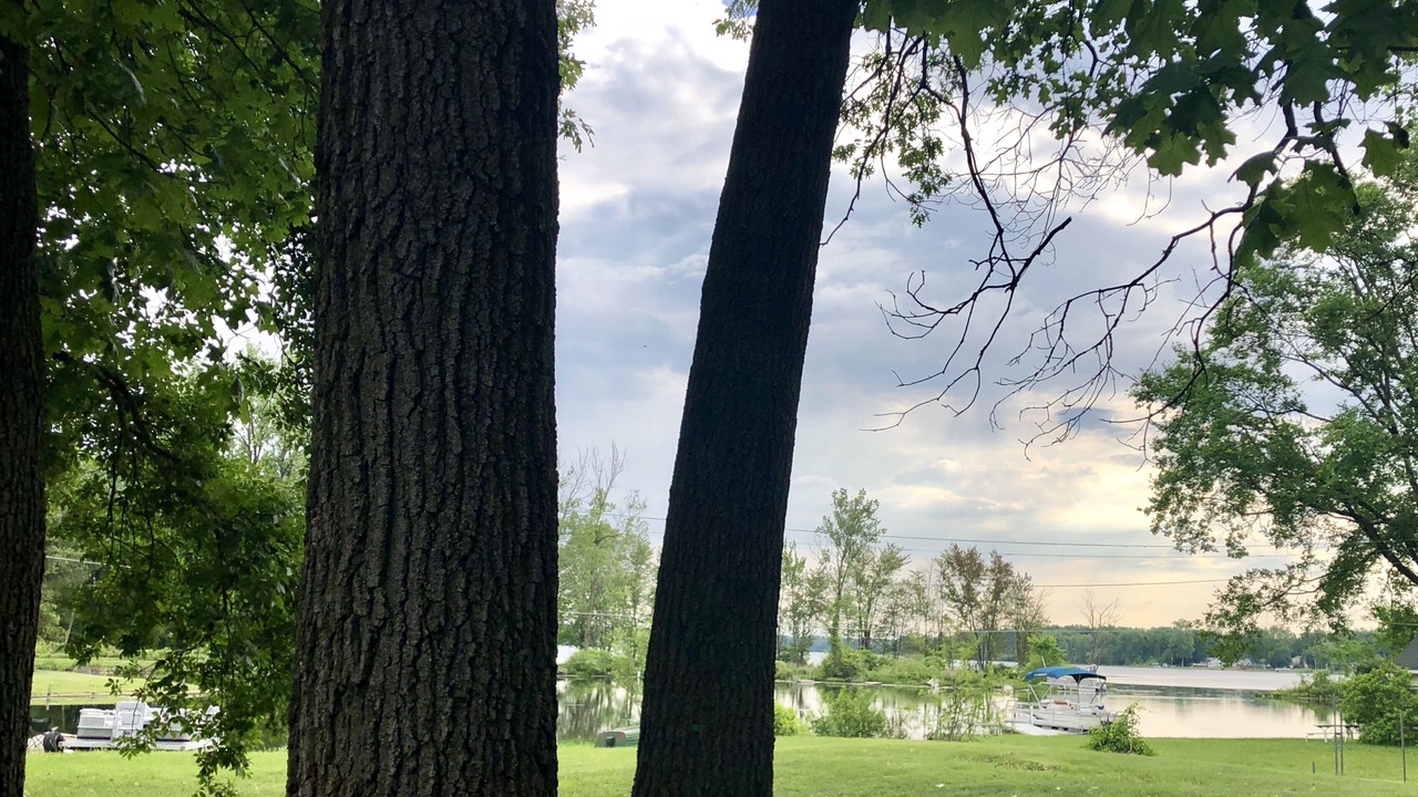 Photo of Outdoor in Three Rivers