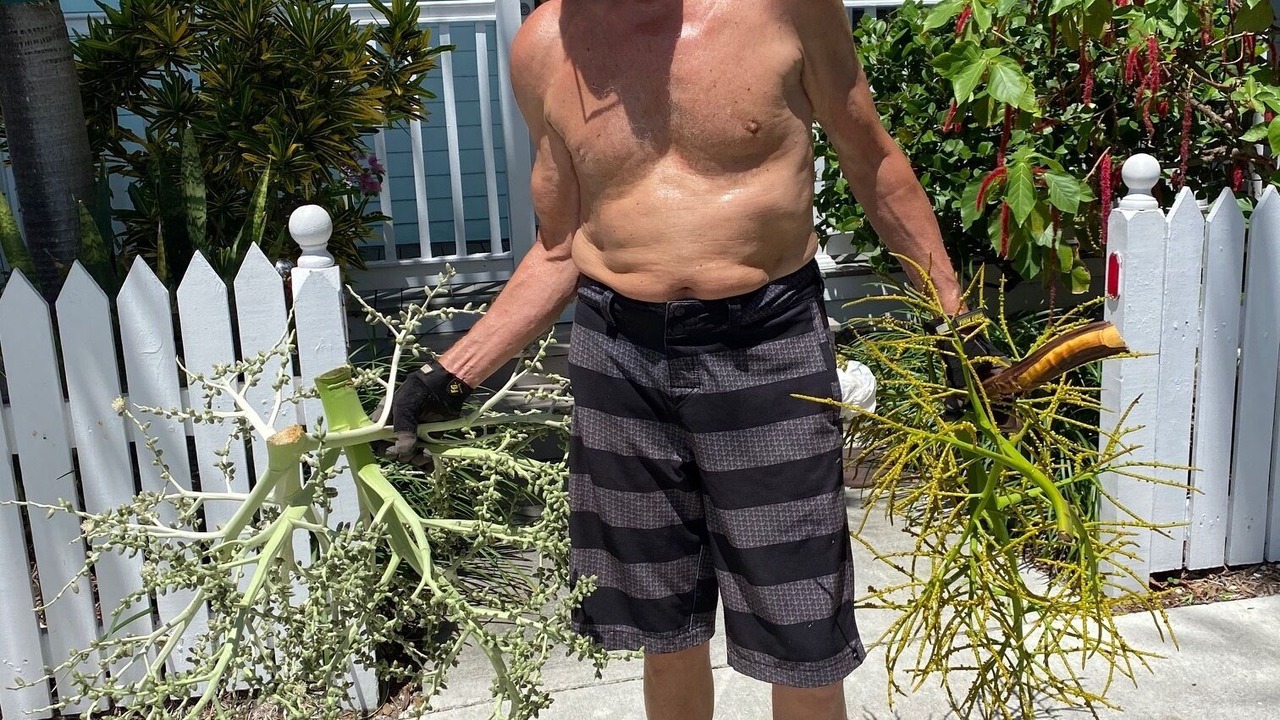 Photo of Others in Bahama Village