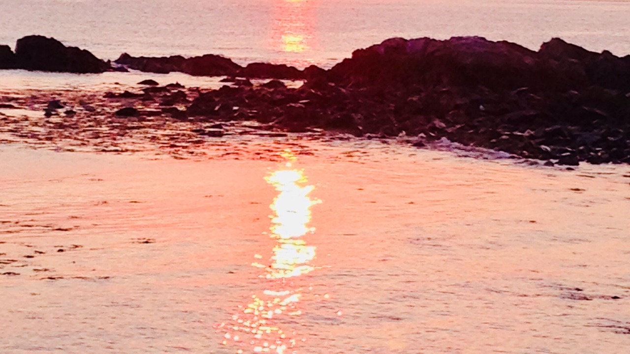 Photo of Others in Ogunquit