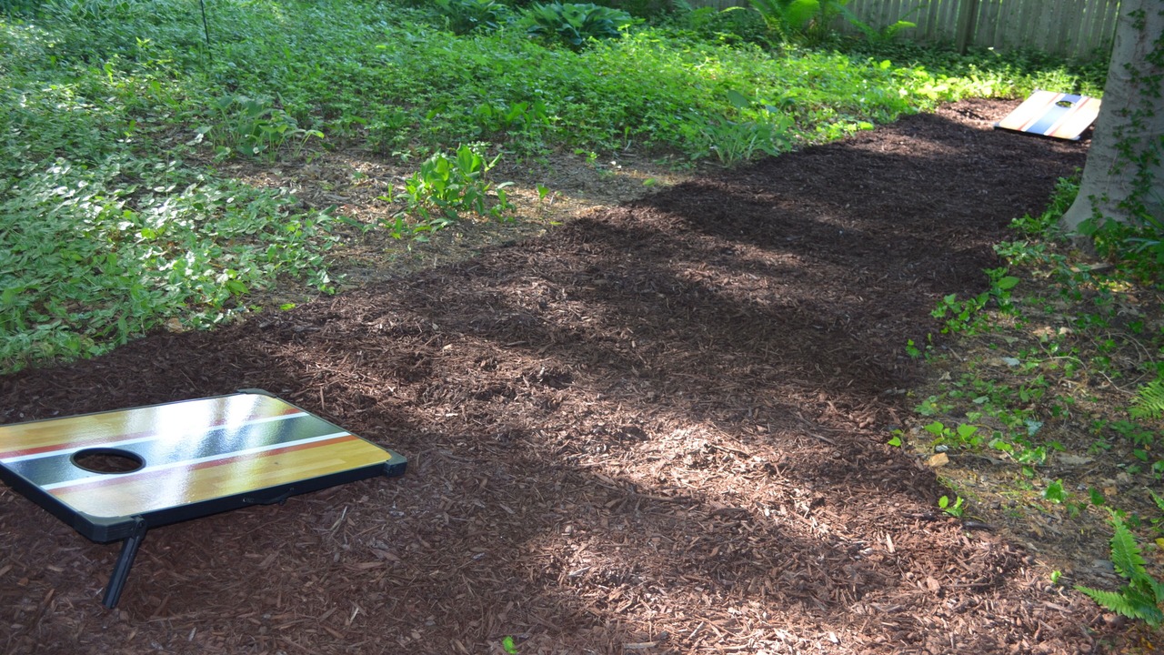 Photo of Others in Waukazoo Woods