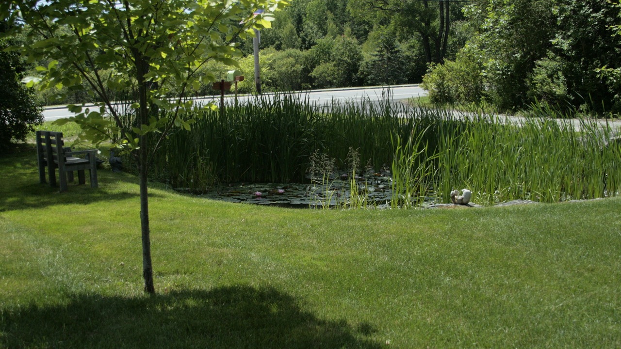 Photo of Others in Blue Hill