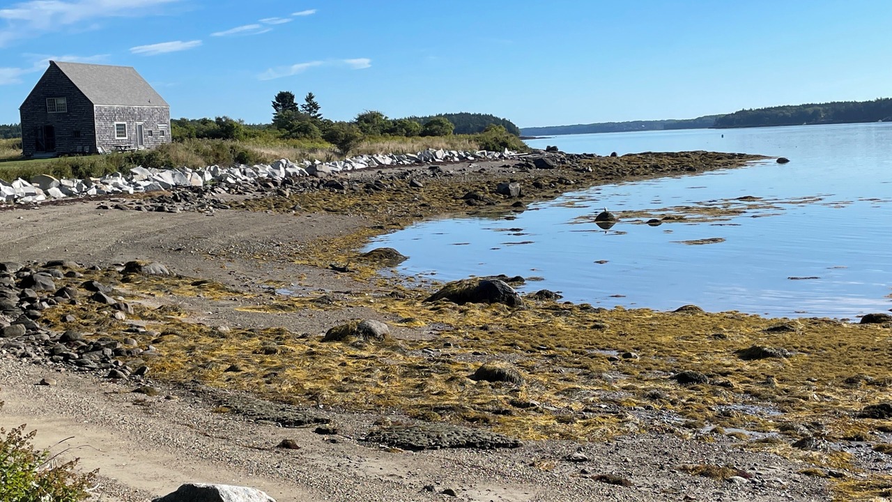Photo of Others in Pleasant Point