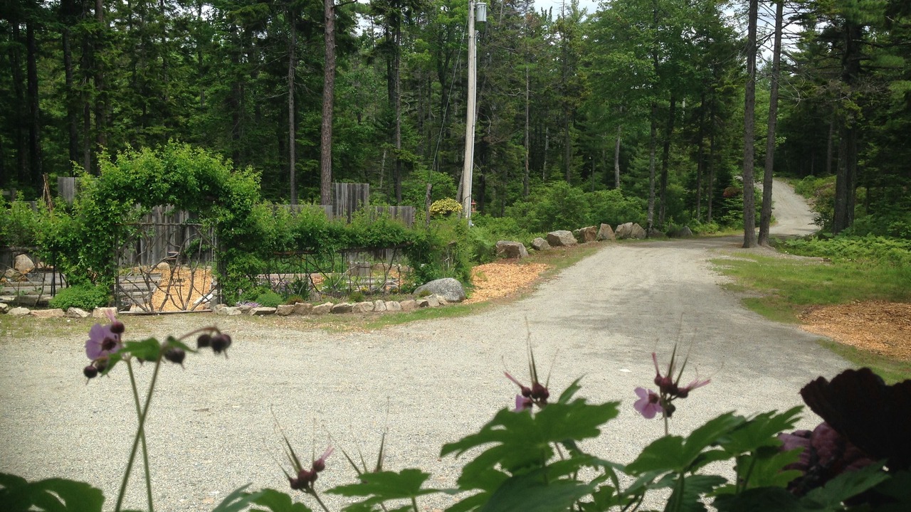 Photo of Outdoor in Bar Harbor