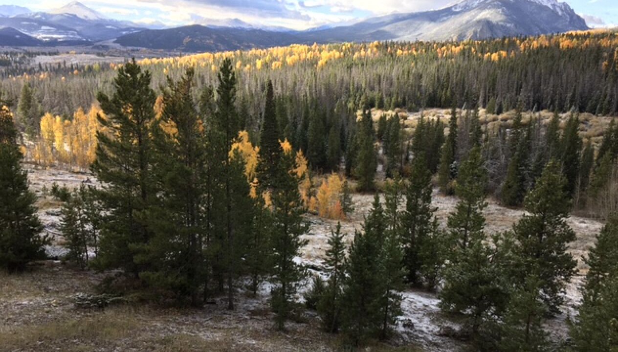 Photo of Bedroom in Wildernest