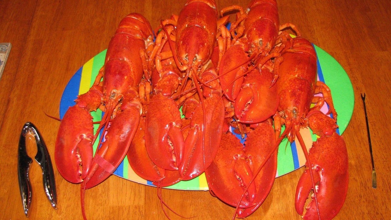 Photo of Others in Ellsworth