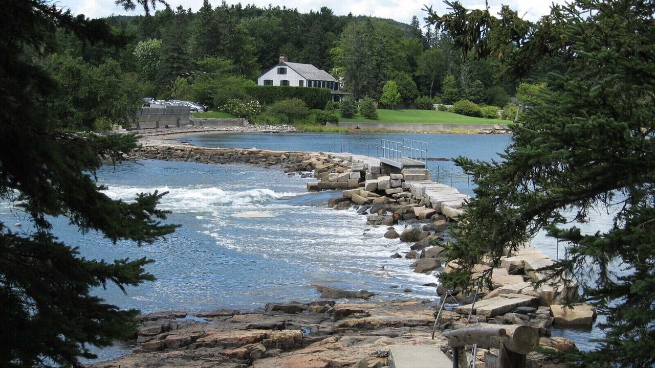 Photo of Others in Southwest Harbor