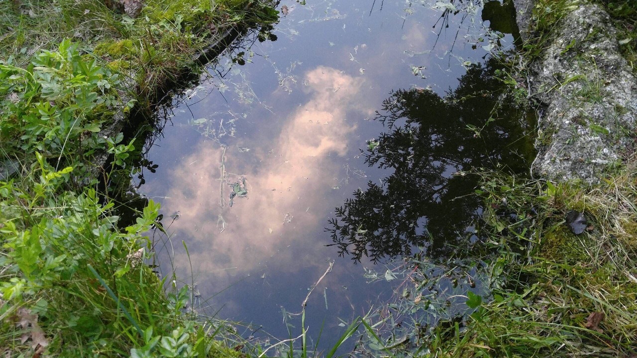 Photo of Outdoor in Hancock