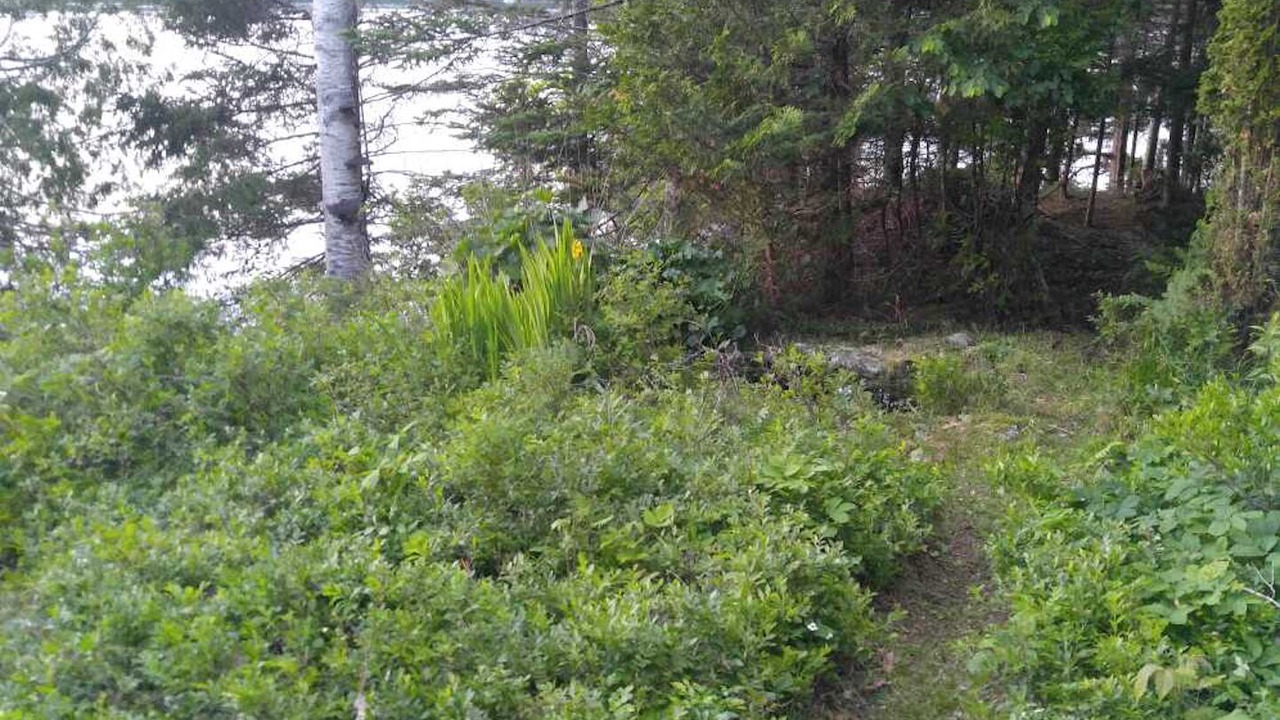 Photo of Outdoor in Hancock
