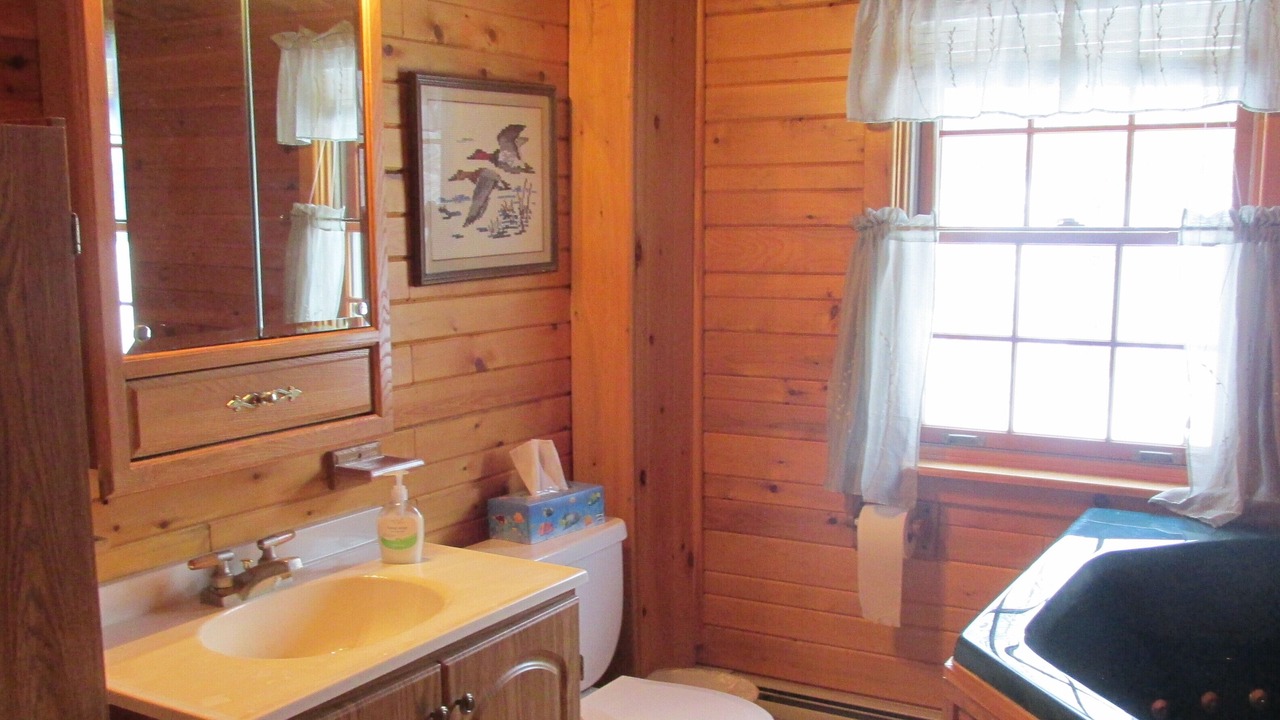 Photo of Bathroom in Island Falls