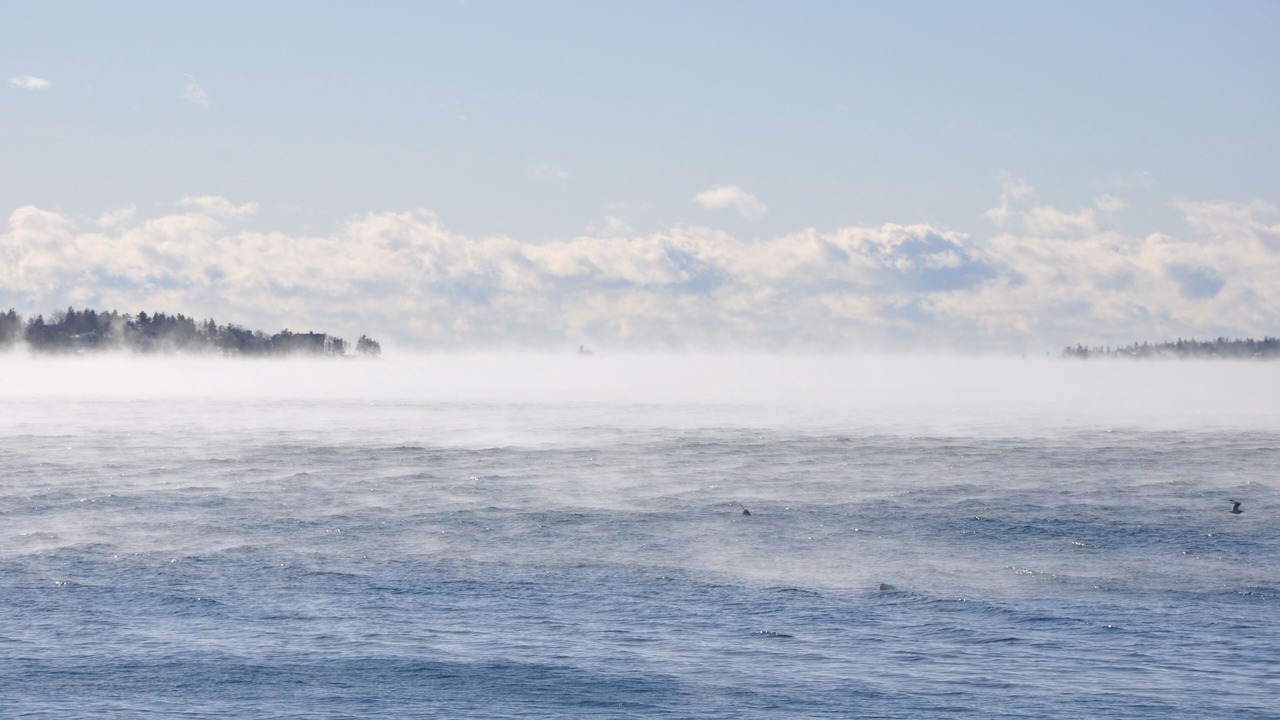 Photo of Others in Boothbay Harbor