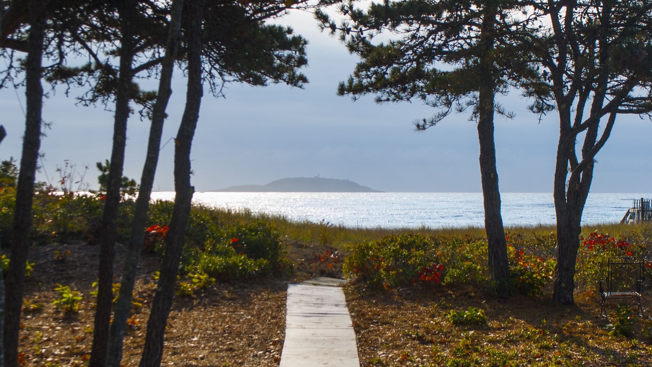 Photo of Others in Phippsburg