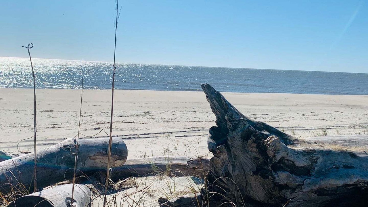 Photo of Others in Holden Beach