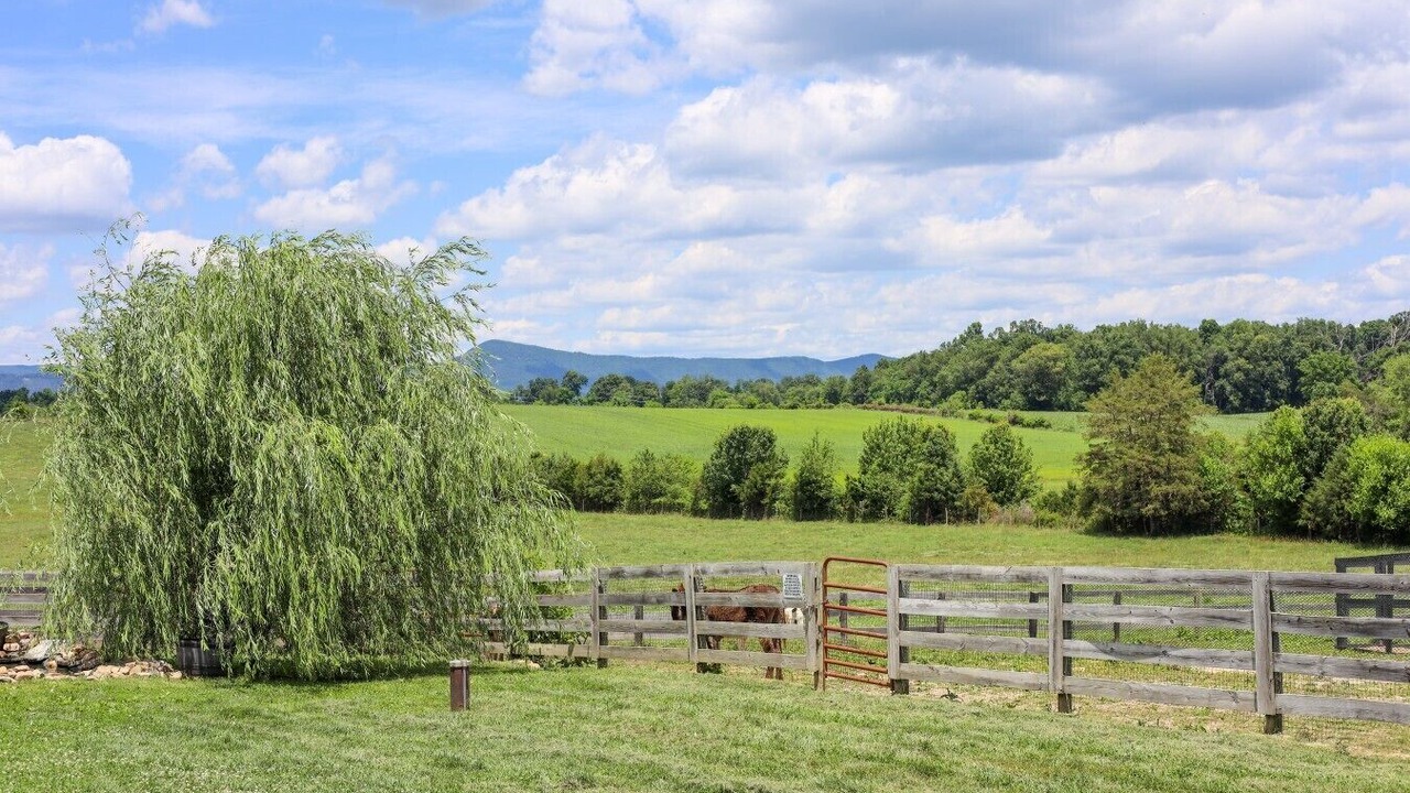 Photo of Others in Luray