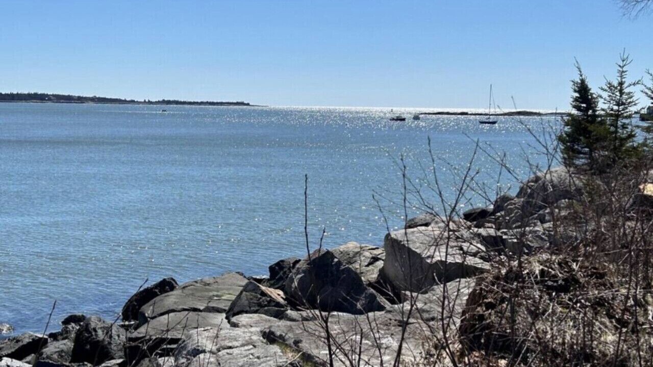 Photo of Others in Prospect Harbor