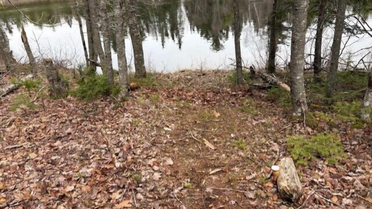 Photo of Others in Cherryfield