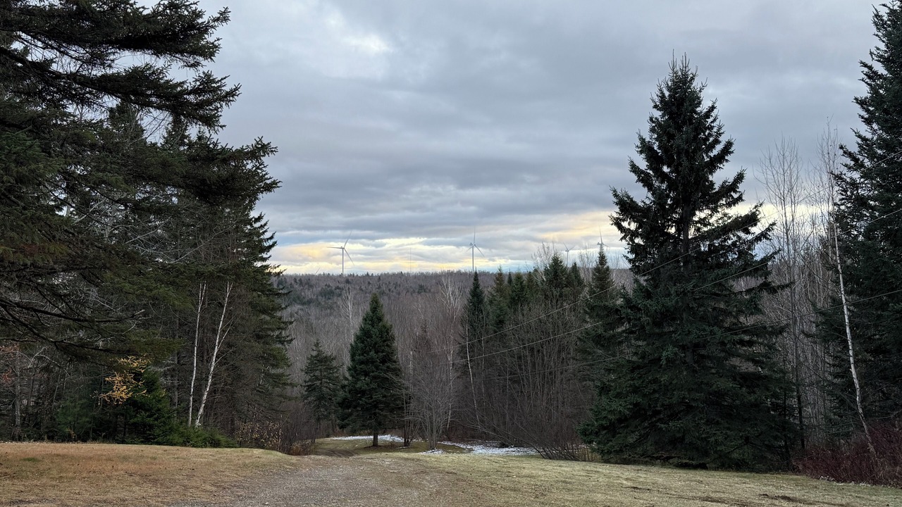 Photo of Others in Aroostook
