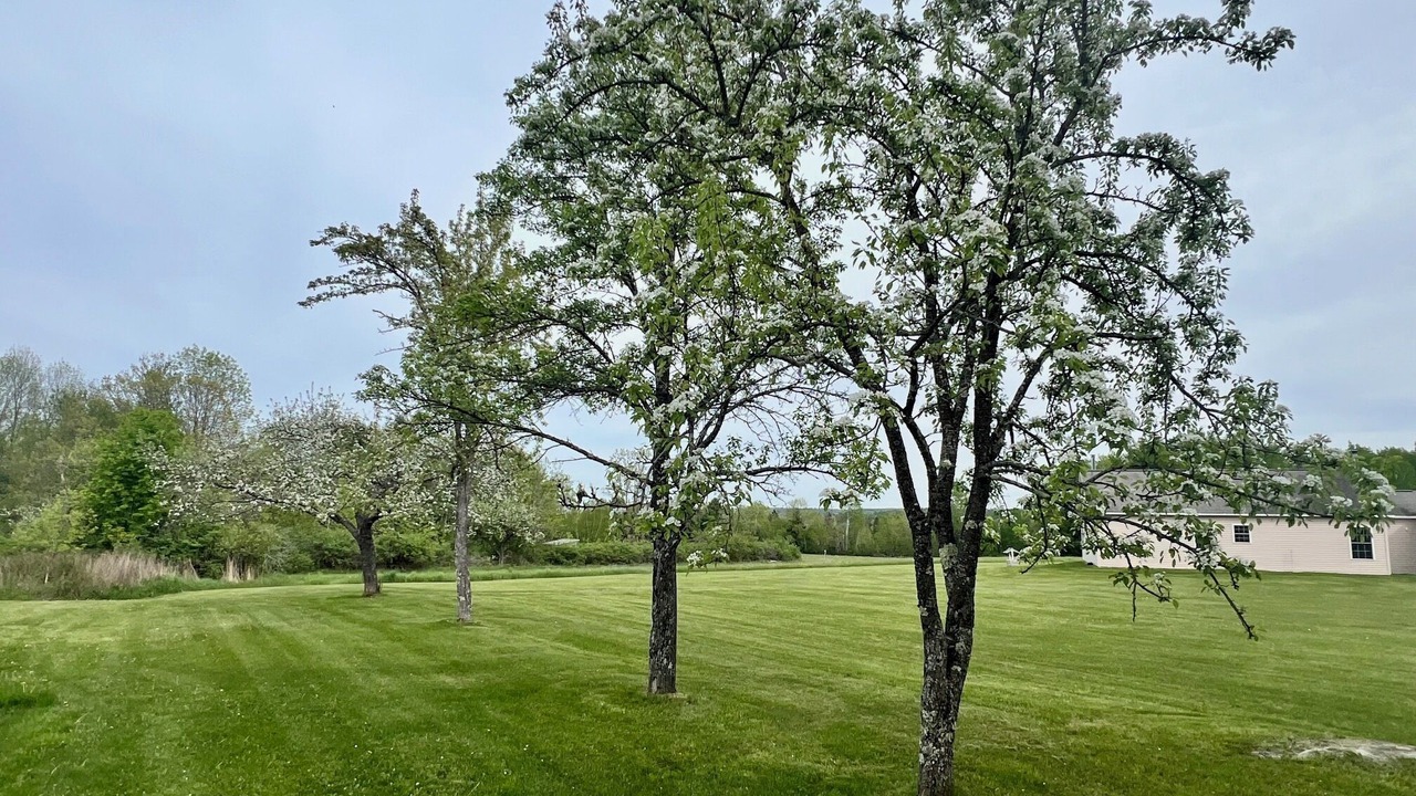 Photo of Outdoor in Newport