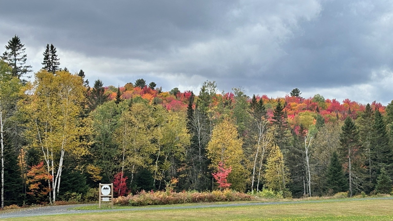 Photo of Others in Fort Kent Mills