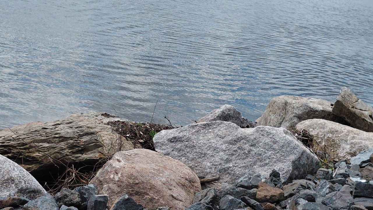 Photo of Others in Searsport