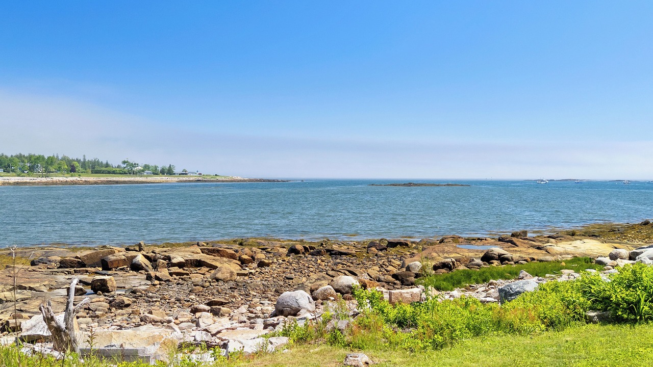Photo of Others in Prospect Harbor
