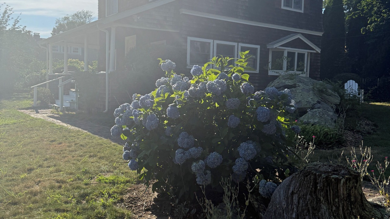 Photo of Outdoor in Shoreby Hill