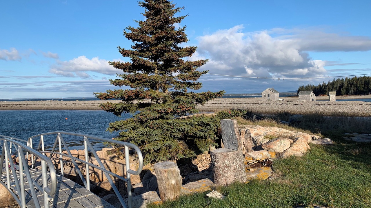 Photo of Others in Bass Harbor