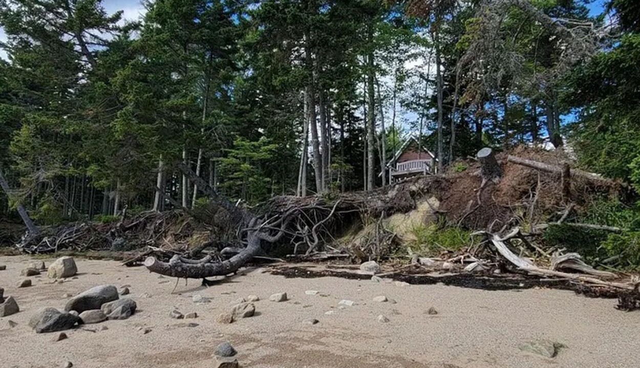 Photo of Others in Gouldsboro