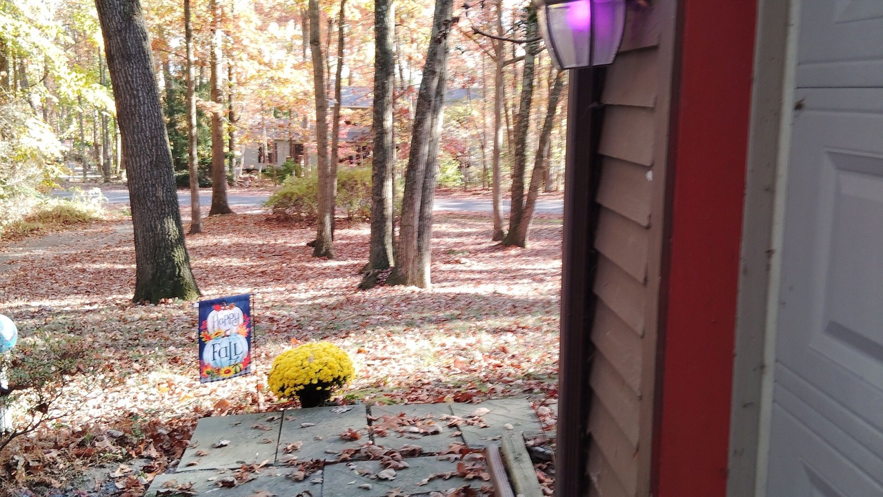 Photo of Outdoor in Narvon
