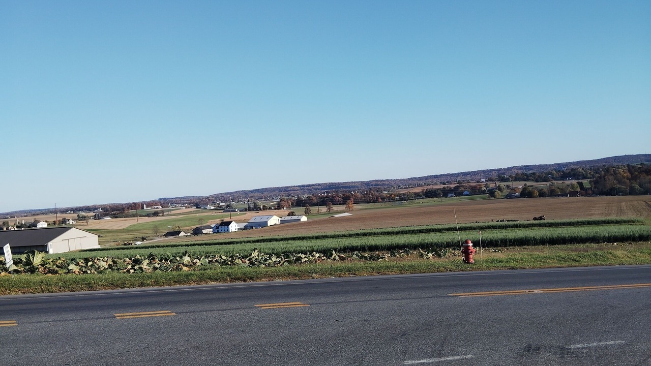 Photo of Others in Narvon