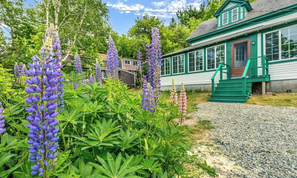 Photo of Outdoor in Manset