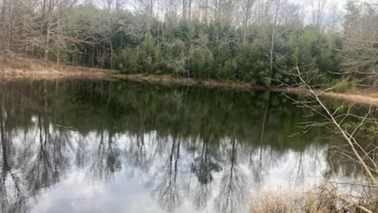 Photo of Others in Pisgah