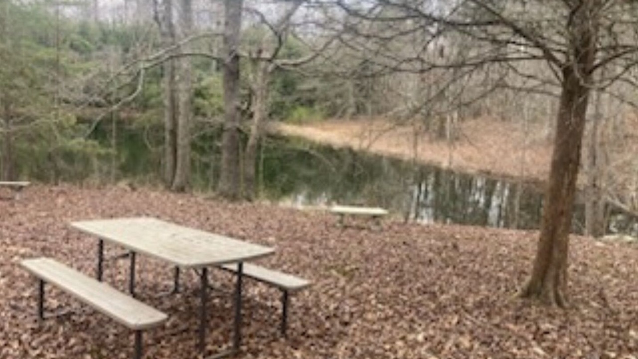 Photo of Outdoor in Pisgah