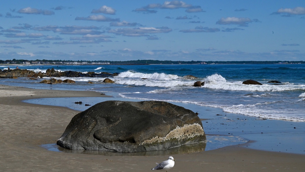 Photo of Others in Wells Beach
