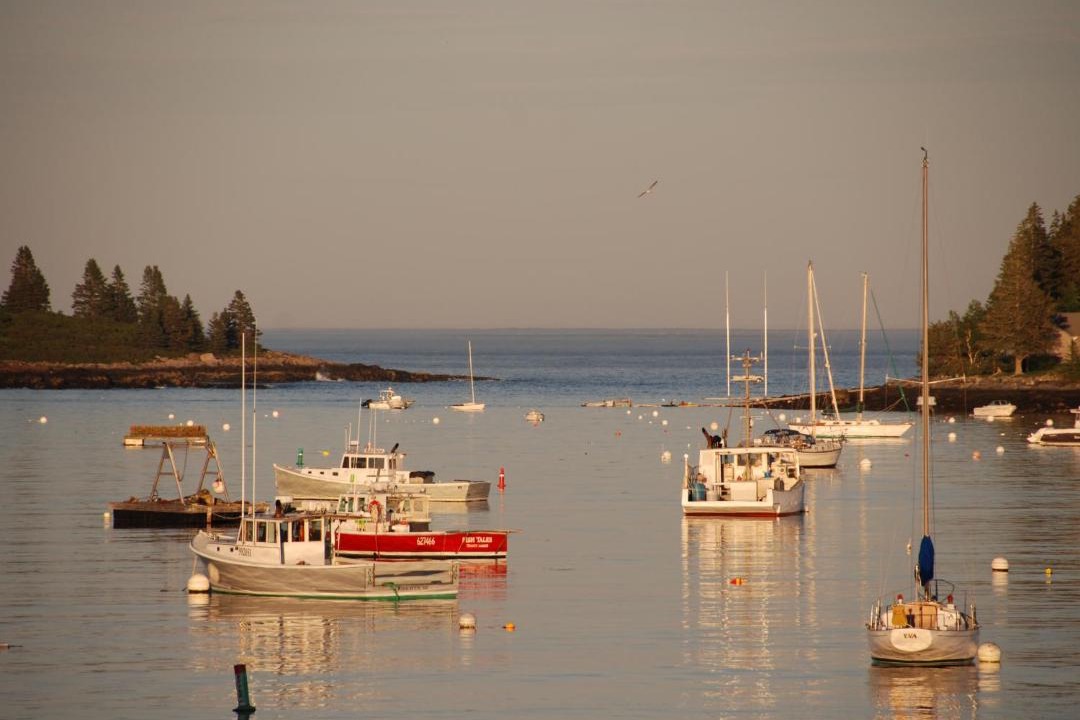 Photo of Others in Tenants Harbor