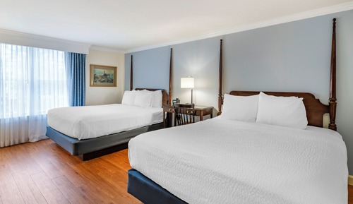 Double Queen Pet Friendly