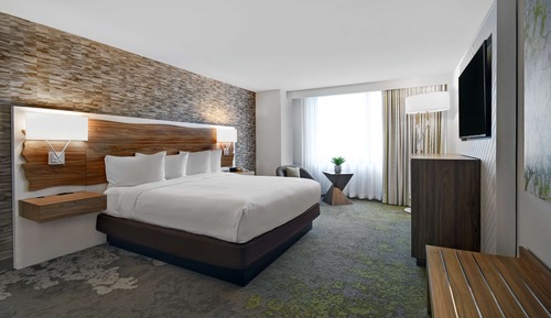 Suite, 1 King Bed